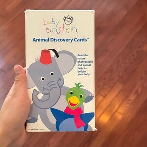 Animal Learning Cards - Multicolor